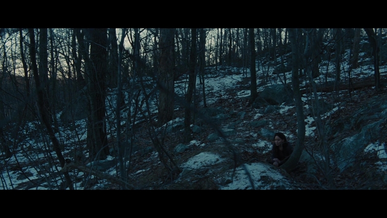 The_Hunger_Games_Catching_Fire_2013_1080p_BluRay_x264_AAC_-_Ozlem_03879.jpg