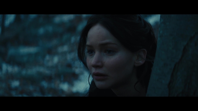 The_Hunger_Games_Catching_Fire_2013_1080p_BluRay_x264_AAC_-_Ozlem_03881.jpg