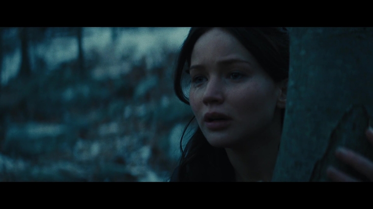 The_Hunger_Games_Catching_Fire_2013_1080p_BluRay_x264_AAC_-_Ozlem_03890.jpg