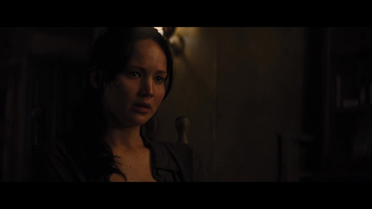 The_Hunger_Games_Catching_Fire_2013_1080p_BluRay_x264_AAC_-_Ozlem_03925.jpg
