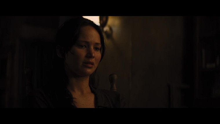 The_Hunger_Games_Catching_Fire_2013_1080p_BluRay_x264_AAC_-_Ozlem_03944.jpg