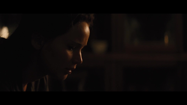 The_Hunger_Games_Catching_Fire_2013_1080p_BluRay_x264_AAC_-_Ozlem_03988.jpg