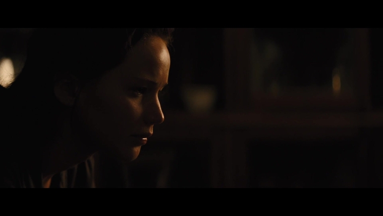 The_Hunger_Games_Catching_Fire_2013_1080p_BluRay_x264_AAC_-_Ozlem_03992.jpg