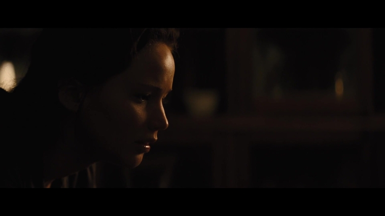 The_Hunger_Games_Catching_Fire_2013_1080p_BluRay_x264_AAC_-_Ozlem_03994.jpg