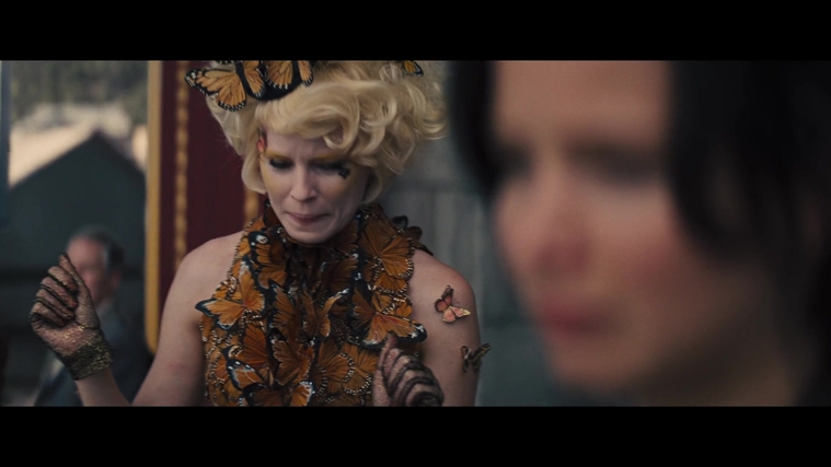 The_Hunger_Games_Catching_Fire_2013_1080p_BluRay_x264_AAC_-_Ozlem_04133.jpg