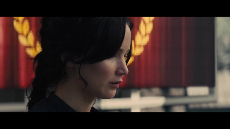 The_Hunger_Games_Catching_Fire_2013_1080p_BluRay_x264_AAC_-_Ozlem_04159.jpg