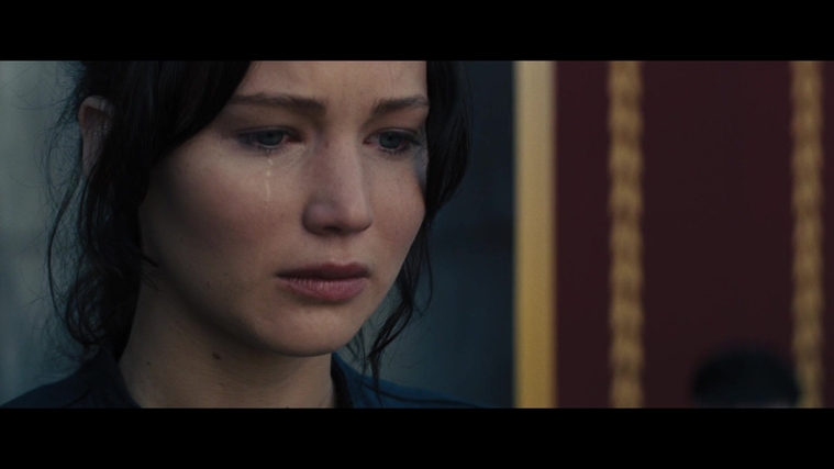 The_Hunger_Games_Catching_Fire_2013_1080p_BluRay_x264_AAC_-_Ozlem_04220.jpg