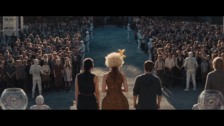 The_Hunger_Games_Catching_Fire_2013_1080p_BluRay_x264_AAC_-_Ozlem_04238.jpg