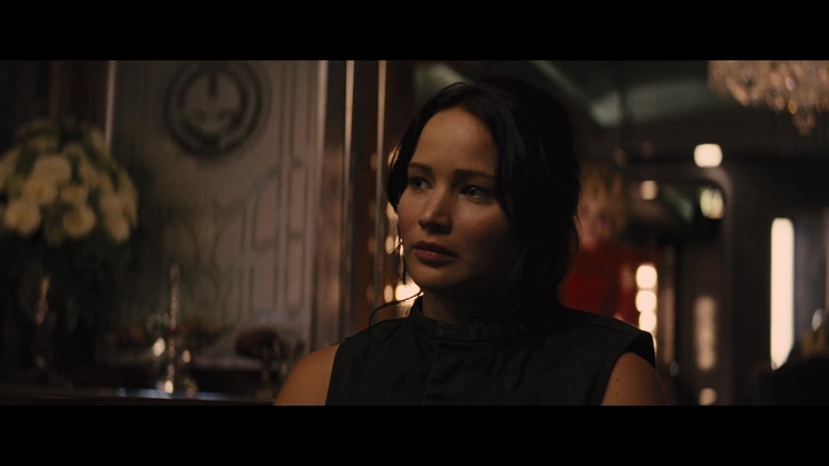 The_Hunger_Games_Catching_Fire_2013_1080p_BluRay_x264_AAC_-_Ozlem_04294.jpg