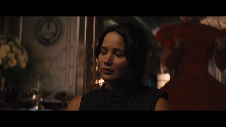 The_Hunger_Games_Catching_Fire_2013_1080p_BluRay_x264_AAC_-_Ozlem_04298.jpg