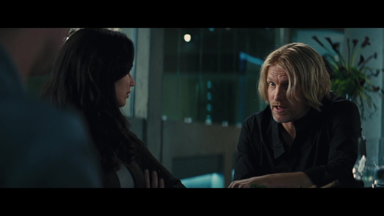 The_Hunger_Games_Catching_Fire_2013_1080p_BluRay_x264_AAC_-_Ozlem_04458.jpg