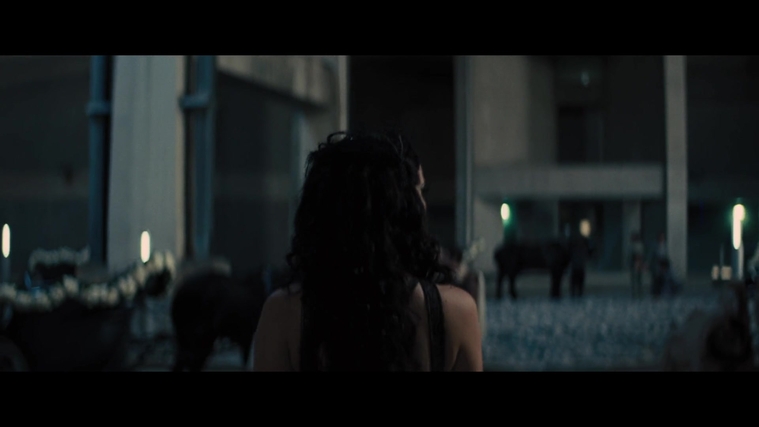 The_Hunger_Games_Catching_Fire_2013_1080p_BluRay_x264_AAC_-_Ozlem_04595.jpg