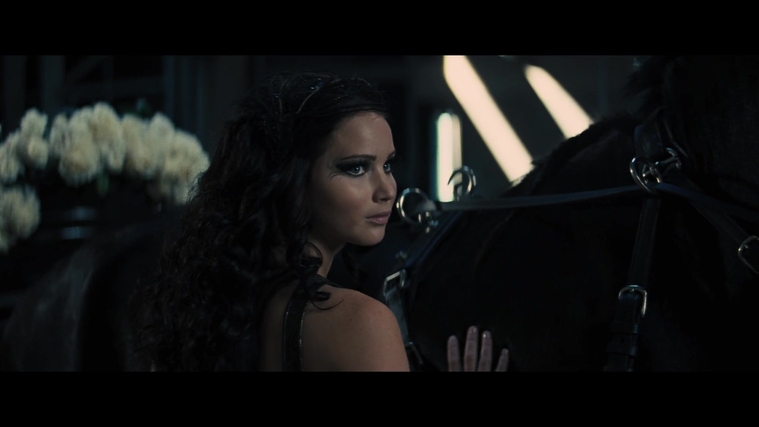 The_Hunger_Games_Catching_Fire_2013_1080p_BluRay_x264_AAC_-_Ozlem_04610.jpg