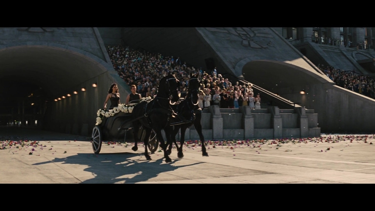 The_Hunger_Games_Catching_Fire_2013_1080p_BluRay_x264_AAC_-_Ozlem_04783.jpg
