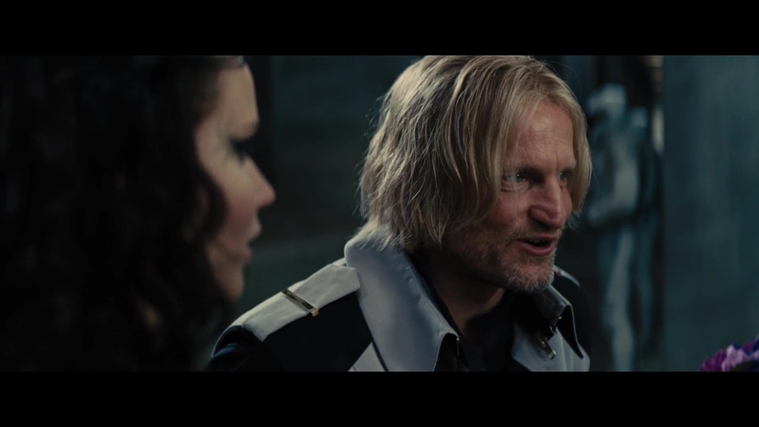 The_Hunger_Games_Catching_Fire_2013_1080p_BluRay_x264_AAC_-_Ozlem_04914.jpg