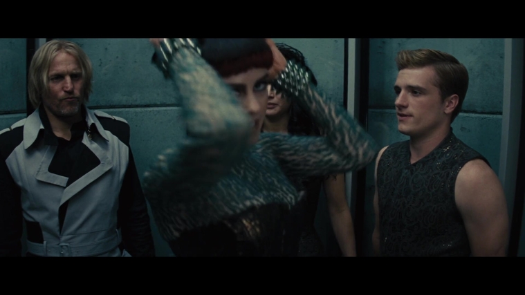 The_Hunger_Games_Catching_Fire_2013_1080p_BluRay_x264_AAC_-_Ozlem_04948.jpg