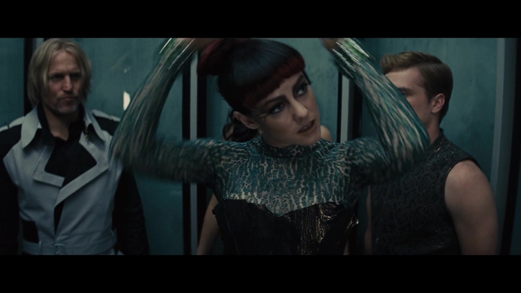 The_Hunger_Games_Catching_Fire_2013_1080p_BluRay_x264_AAC_-_Ozlem_04950.jpg
