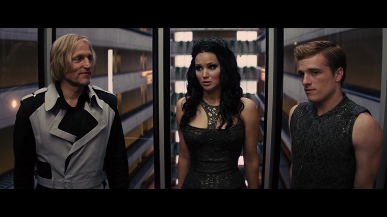 The_Hunger_Games_Catching_Fire_2013_1080p_BluRay_x264_AAC_-_Ozlem_05019.jpg