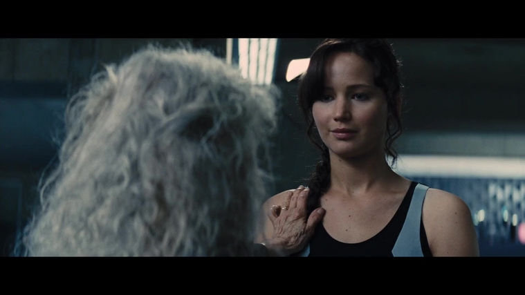The_Hunger_Games_Catching_Fire_2013_1080p_BluRay_x264_AAC_-_Ozlem_05255.jpg