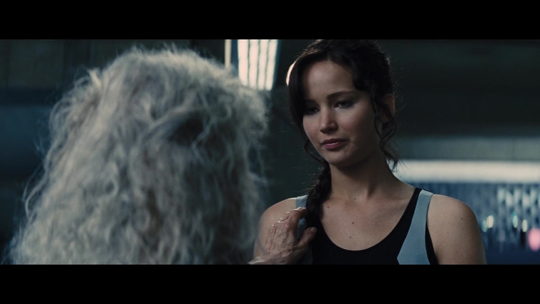 The_Hunger_Games_Catching_Fire_2013_1080p_BluRay_x264_AAC_-_Ozlem_05257.jpg