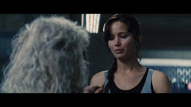 The_Hunger_Games_Catching_Fire_2013_1080p_BluRay_x264_AAC_-_Ozlem_05258.jpg