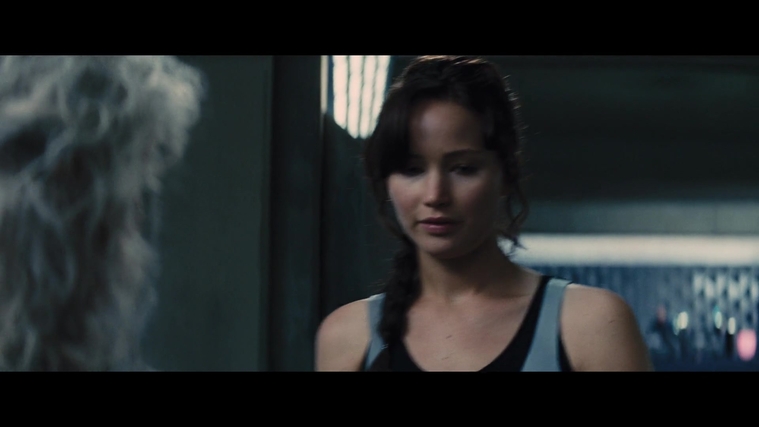 The_Hunger_Games_Catching_Fire_2013_1080p_BluRay_x264_AAC_-_Ozlem_05264.jpg