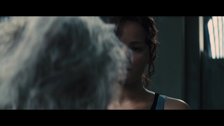 The_Hunger_Games_Catching_Fire_2013_1080p_BluRay_x264_AAC_-_Ozlem_05269.jpg