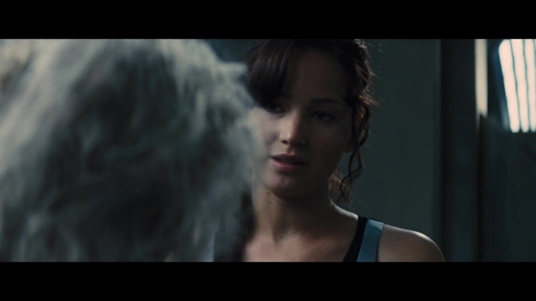 The_Hunger_Games_Catching_Fire_2013_1080p_BluRay_x264_AAC_-_Ozlem_05270.jpg