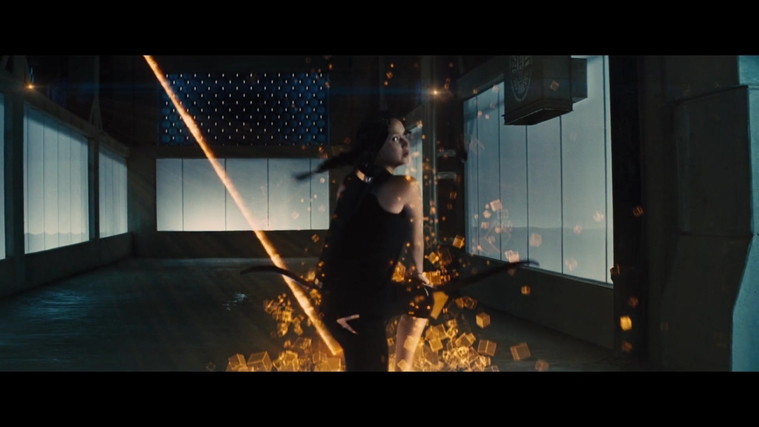 The_Hunger_Games_Catching_Fire_2013_1080p_BluRay_x264_AAC_-_Ozlem_05356.jpg