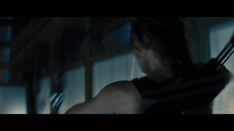 The_Hunger_Games_Catching_Fire_2013_1080p_BluRay_x264_AAC_-_Ozlem_05357.jpg