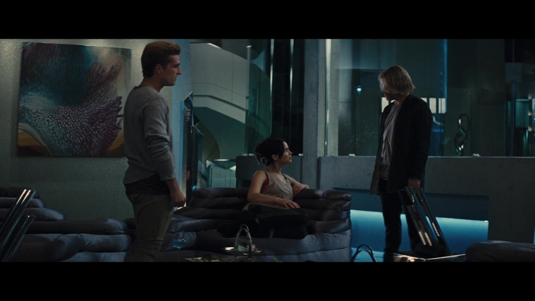 The_Hunger_Games_Catching_Fire_2013_1080p_BluRay_x264_AAC_-_Ozlem_05399.jpg