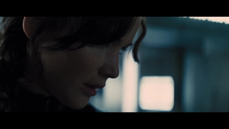The_Hunger_Games_Catching_Fire_2013_1080p_BluRay_x264_AAC_-_Ozlem_05532.jpg