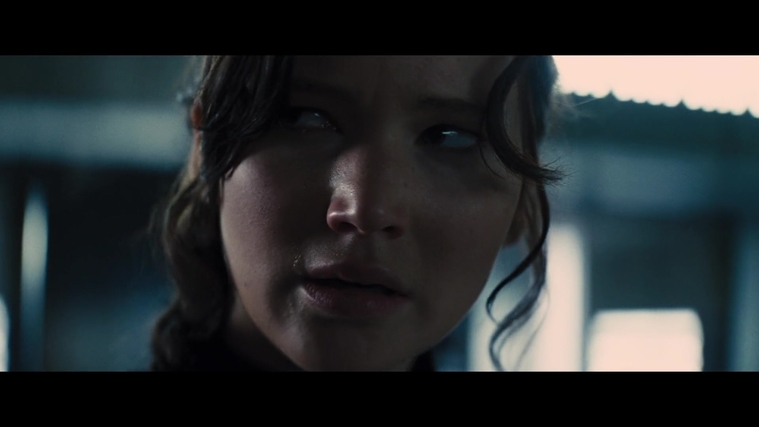 The_Hunger_Games_Catching_Fire_2013_1080p_BluRay_x264_AAC_-_Ozlem_05534.jpg