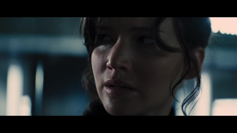 The_Hunger_Games_Catching_Fire_2013_1080p_BluRay_x264_AAC_-_Ozlem_05535.jpg