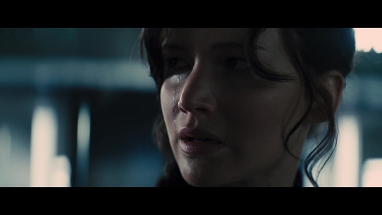 The_Hunger_Games_Catching_Fire_2013_1080p_BluRay_x264_AAC_-_Ozlem_05536.jpg