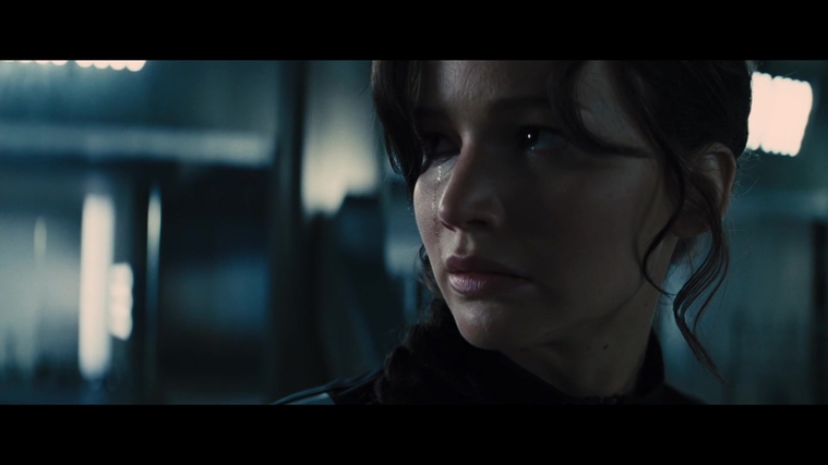 The_Hunger_Games_Catching_Fire_2013_1080p_BluRay_x264_AAC_-_Ozlem_05540.jpg