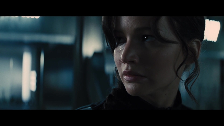The_Hunger_Games_Catching_Fire_2013_1080p_BluRay_x264_AAC_-_Ozlem_05541.jpg