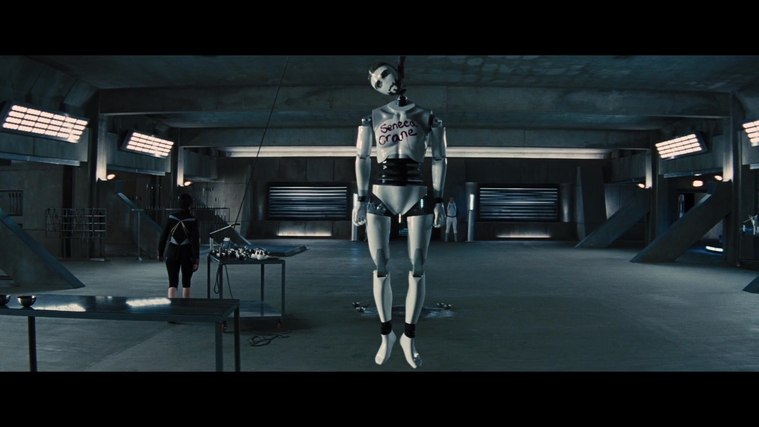 The_Hunger_Games_Catching_Fire_2013_1080p_BluRay_x264_AAC_-_Ozlem_05589.jpg