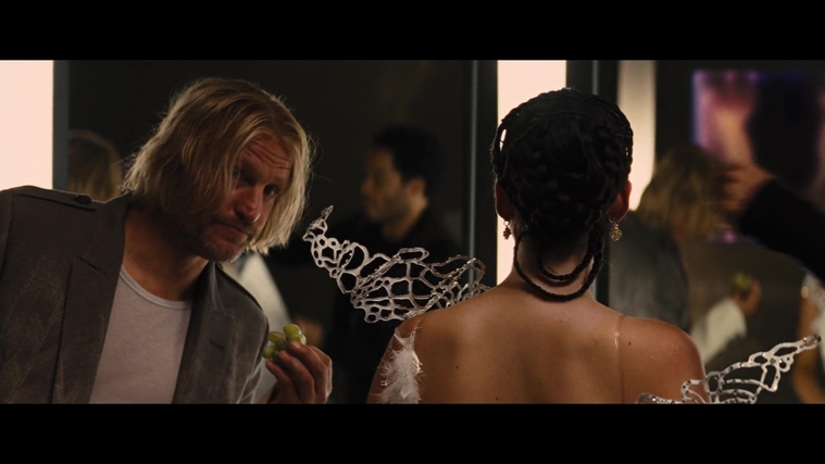The_Hunger_Games_Catching_Fire_2013_1080p_BluRay_x264_AAC_-_Ozlem_05753.jpg