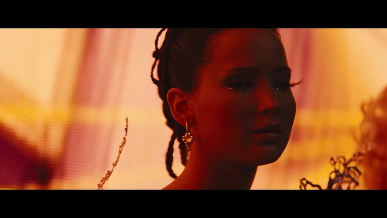 The_Hunger_Games_Catching_Fire_2013_1080p_BluRay_x264_AAC_-_Ozlem_05957.jpg