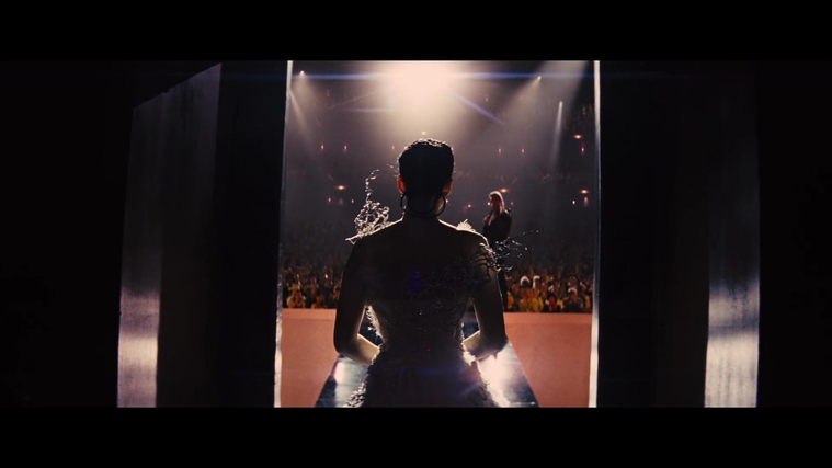 The_Hunger_Games_Catching_Fire_2013_1080p_BluRay_x264_AAC_-_Ozlem_05979.jpg