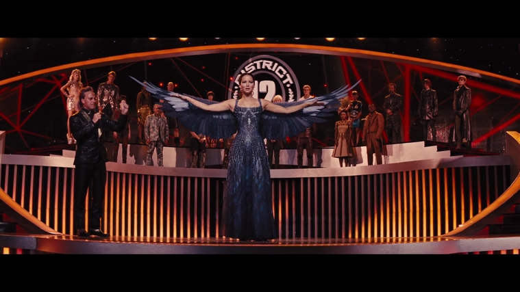 The_Hunger_Games_Catching_Fire_2013_1080p_BluRay_x264_AAC_-_Ozlem_06151.jpg