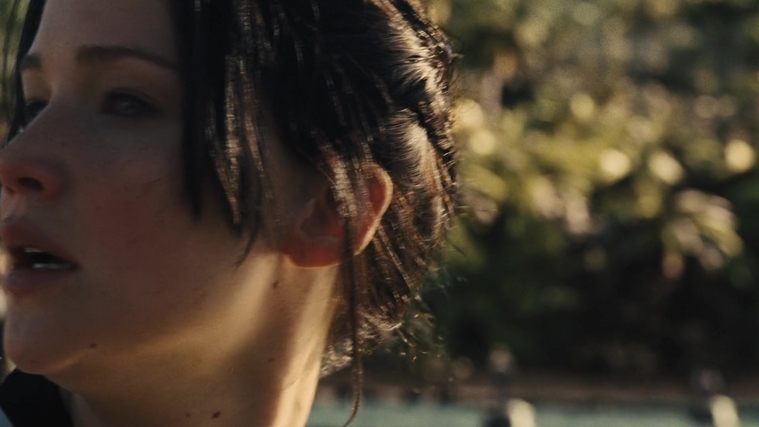 The_Hunger_Games_Catching_Fire_2013_1080p_BluRay_x264_AAC_-_Ozlem_06814.jpg