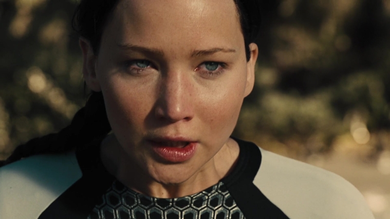 The_Hunger_Games_Catching_Fire_2013_1080p_BluRay_x264_AAC_-_Ozlem_06849.jpg