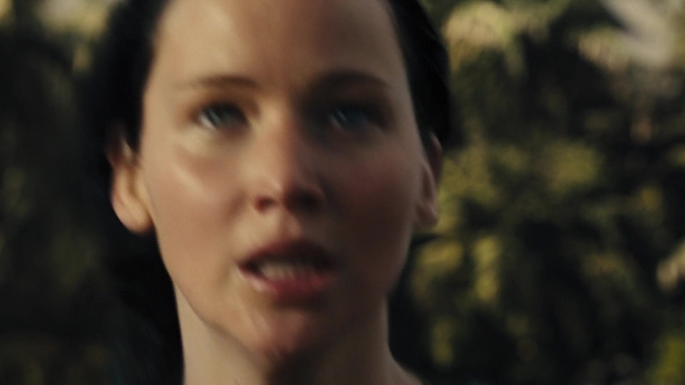 The_Hunger_Games_Catching_Fire_2013_1080p_BluRay_x264_AAC_-_Ozlem_06885.jpg