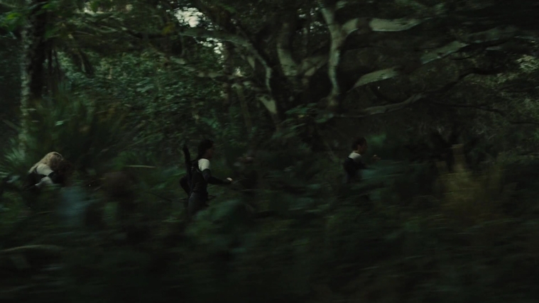 The_Hunger_Games_Catching_Fire_2013_1080p_BluRay_x264_AAC_-_Ozlem_07020.jpg