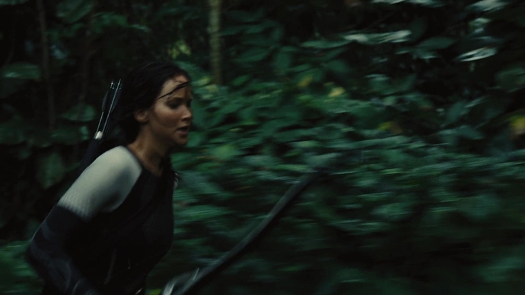 The_Hunger_Games_Catching_Fire_2013_1080p_BluRay_x264_AAC_-_Ozlem_07029.jpg