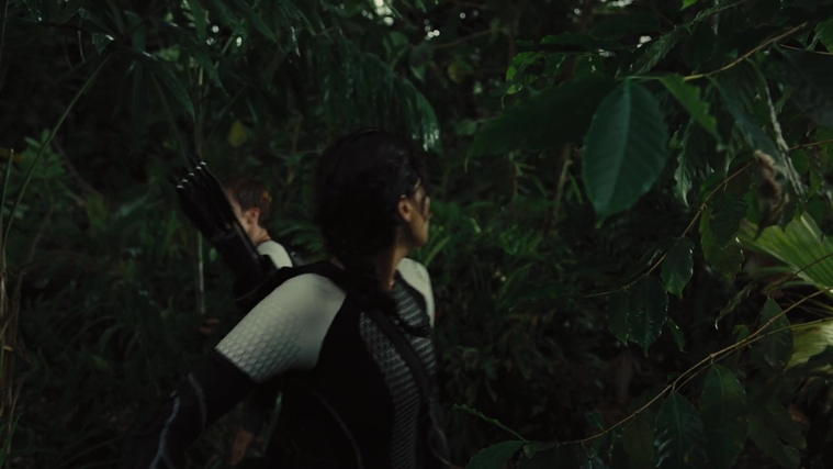 The_Hunger_Games_Catching_Fire_2013_1080p_BluRay_x264_AAC_-_Ozlem_07045.jpg