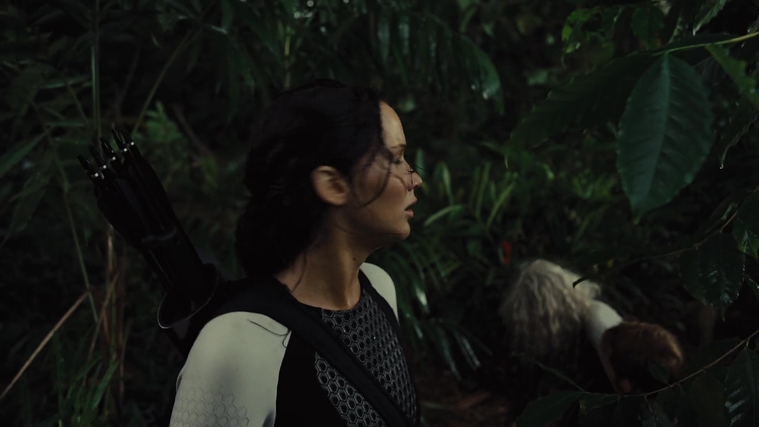 The_Hunger_Games_Catching_Fire_2013_1080p_BluRay_x264_AAC_-_Ozlem_07055.jpg