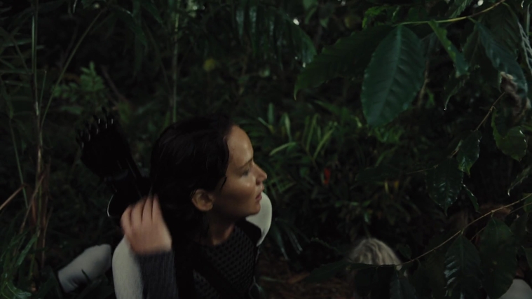 The_Hunger_Games_Catching_Fire_2013_1080p_BluRay_x264_AAC_-_Ozlem_07058.jpg